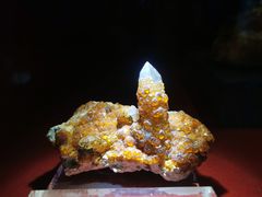 -广东省博物馆
