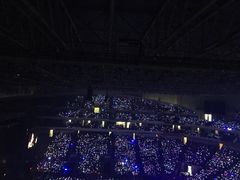 -南京奥林匹克体育中心-体育馆