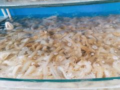 -四海蒸鲜蒸汽海鲜自助(北戴河店)