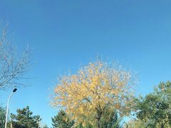 -绿堤公园