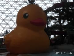 -天山海世界·米立方