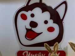 -Husky Go! 哈士奇体验馆·宠物咖啡厅狗咖