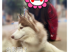 -TrueLove @ Neverland (Husky Cafe)