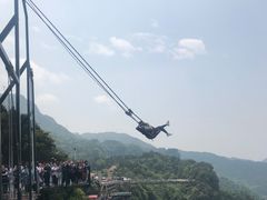 -梦幻奥陶纪景区