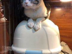 -Goku PET SHOP宠物视觉生活馆(双井店)
