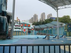-海合安成都极地海洋公园