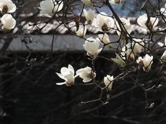 -睦南公园