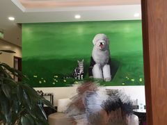 -美联众合动物医院·24h转诊中心