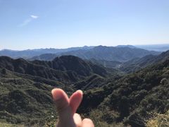 -大岭沟猕猴桃谷风景区