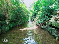 -重庆彩云湖湿地公园
