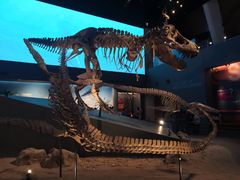 -贝林大翅鲸简餐厅(国家海洋博物馆店)