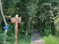 -洪湖悦兮半岛国际温泉度假村