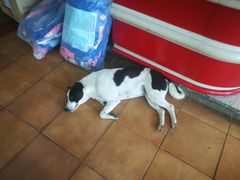 -瓦洛洛传统市场