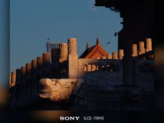 -兰拓相机租赁·维修·二手(上海店)