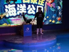 -石家庄海洋公园