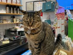 -猫的天空之城概念书店(杭州南宋御街店)