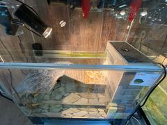 -宠物世家(仲盛世界商城店)