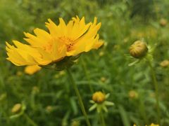 -玄武湖景区-情侣园游乐场