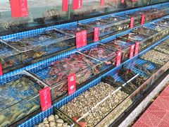 -红月湾海鲜饭店•沙滩海景(双月湾店)