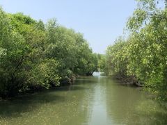 -长兴太湖图影湿地文化园