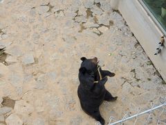 -石家庄市动物园