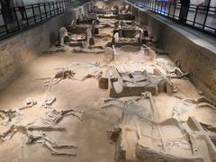 -洛阳周王城天子驾六博物馆