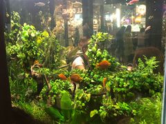 -The Dishes Seafood & Restaurant