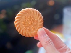 -泰康食品(南京东路店)