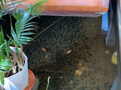 -外婆船宴餐厅·外婆喊你回家吃饭