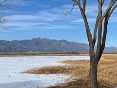 -野鸭湖国家湿地公园