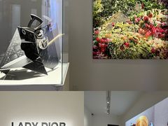 -德基艺术博物馆