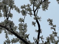 -南开大学(津南校区)