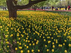 -长春公园(普阳街道)