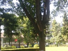-南京农业大学(浦口校区)