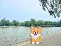 -济南大明湖景区