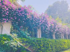 -四里河滨水生态公园