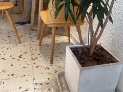 -Cafe on warm(丹霞店)