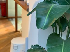 -Line 咖啡(石厦花园店)