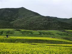 -扁都口生态休闲旅游区