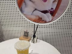 -Husky Go! 哈士奇体验馆·宠物咖啡厅狗咖