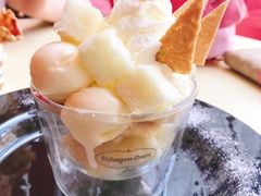 阿尔卑斯雪山-哈根达斯(扬州瘦西湖店)
