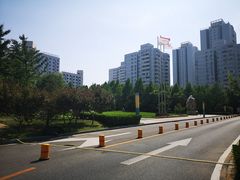 -辽宁大厦