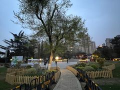 -塔子山公园
