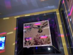 -歌潮量贩式KTV(宁德万达店)