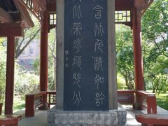 -碑林公园
