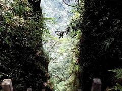 -刘伯温故里景区百丈漈