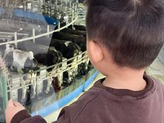 -君乐宝优致牧场