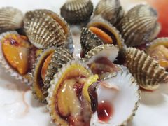 白灼血螺-板桥海鲜广场(文明东店)
