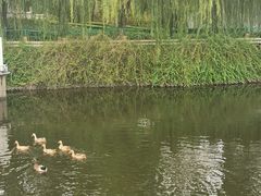 -西安汉城湖景区