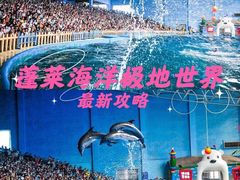 -蓬莱欧乐堡海洋极地世界